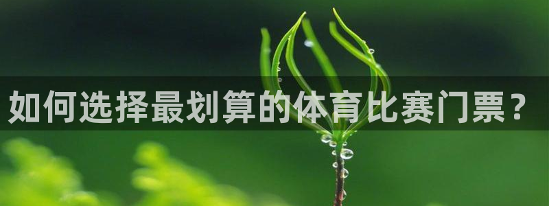 如何选择最划算的体育比赛门票？