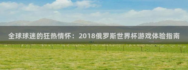 全球球迷的狂热情怀：2018俄罗斯世界杯游戏体验指南