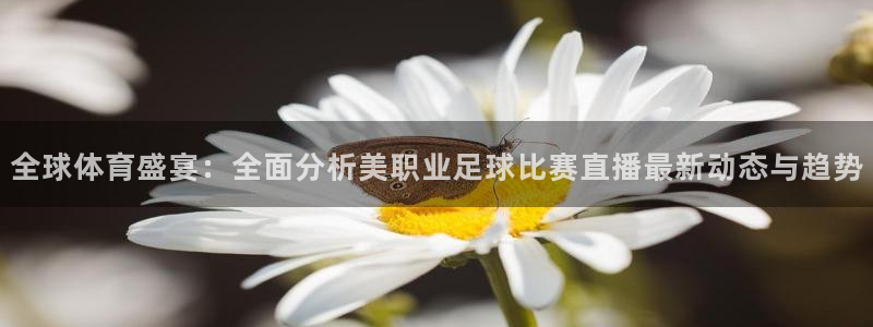 全球体育盛宴：全面分析美职业足球比赛直播最新动态与趋势