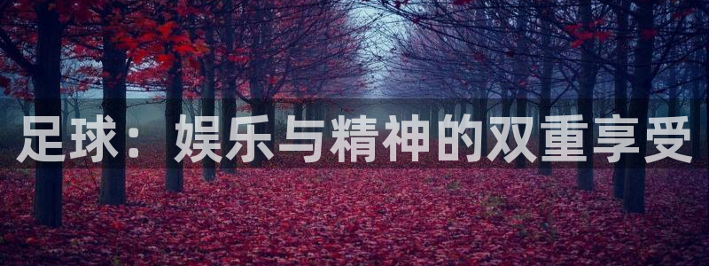 足球：娱乐与精神的双重享受