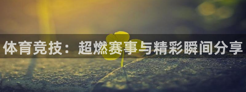 体育竞技：超燃赛事与精彩瞬间分享