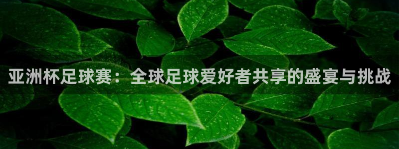 亚洲杯足球赛：全球足球爱好者共享的盛宴与挑战