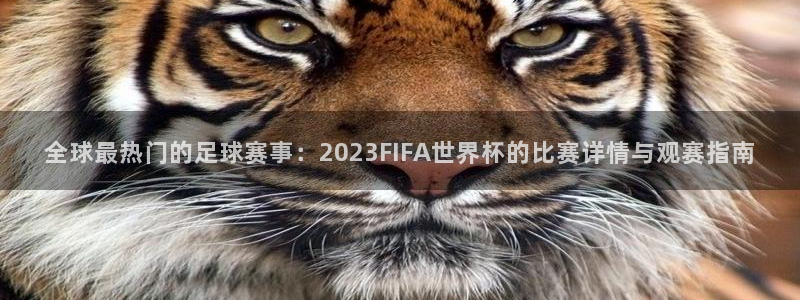 全球最热门的足球赛事：2023FIFA世界杯的比赛详情与观赛指南