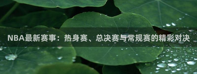NBA最新赛事：热身赛、总决赛与常规赛的精彩对决
