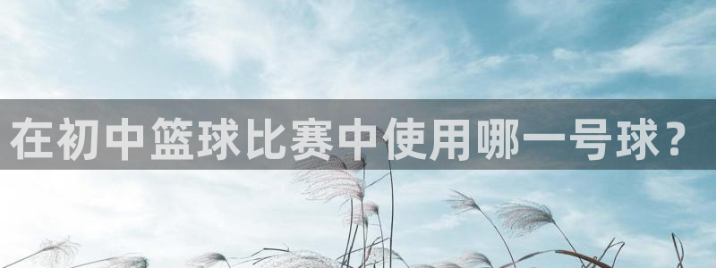 在初中篮球比赛中使用哪一号球？