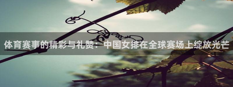 体育赛事的精彩与礼赞：中国女排在全球赛场上绽放光芒