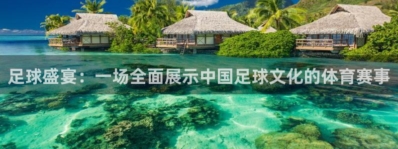 足球盛宴：一场全面展示中国足球文化的体育赛事