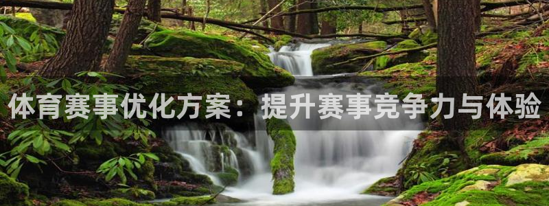体育赛事优化方案：提升赛事竞争力与体验