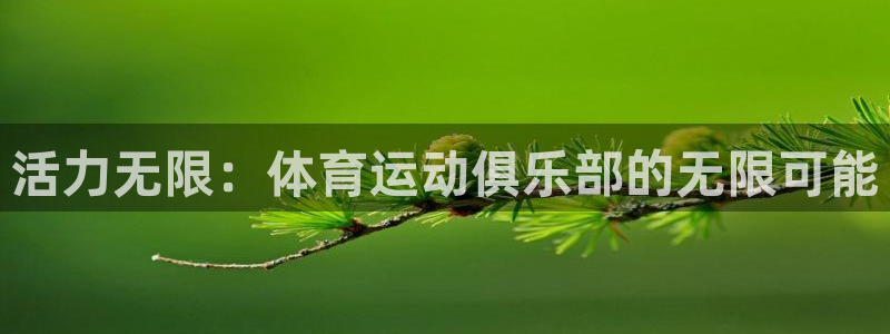 活力无限：体育运动俱乐部的无限可能