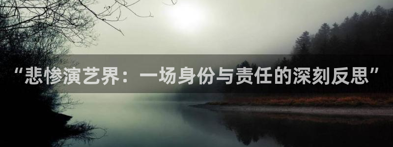 “悲惨演艺界：一场身份与责任的深刻反思”