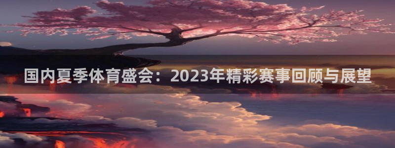 国内夏季体育盛会：2023年精彩赛事回顾与展望