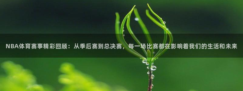 NBA体育赛事精彩回顾：从季后赛到总决赛，每一场比赛都在影响着我们的生活和未来