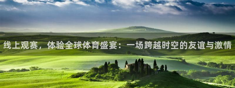 线上观赛，体验全球体育盛宴：一场跨越时空的友谊与激情