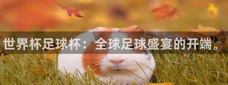 世界杯足球杯：全球足球盛宴的开端。