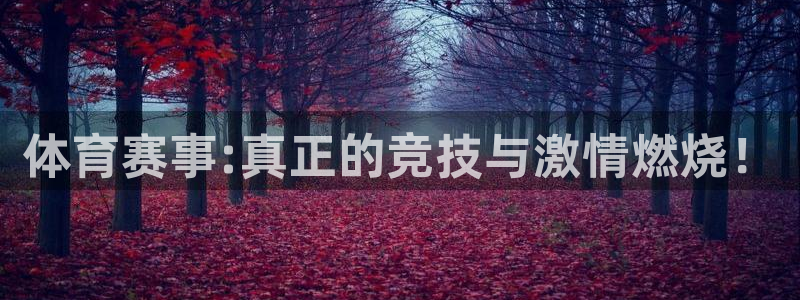 体育赛事:真正的竞技与激情燃烧！