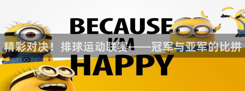 精彩对决！排球运动联赛——冠军与亚军的比拼